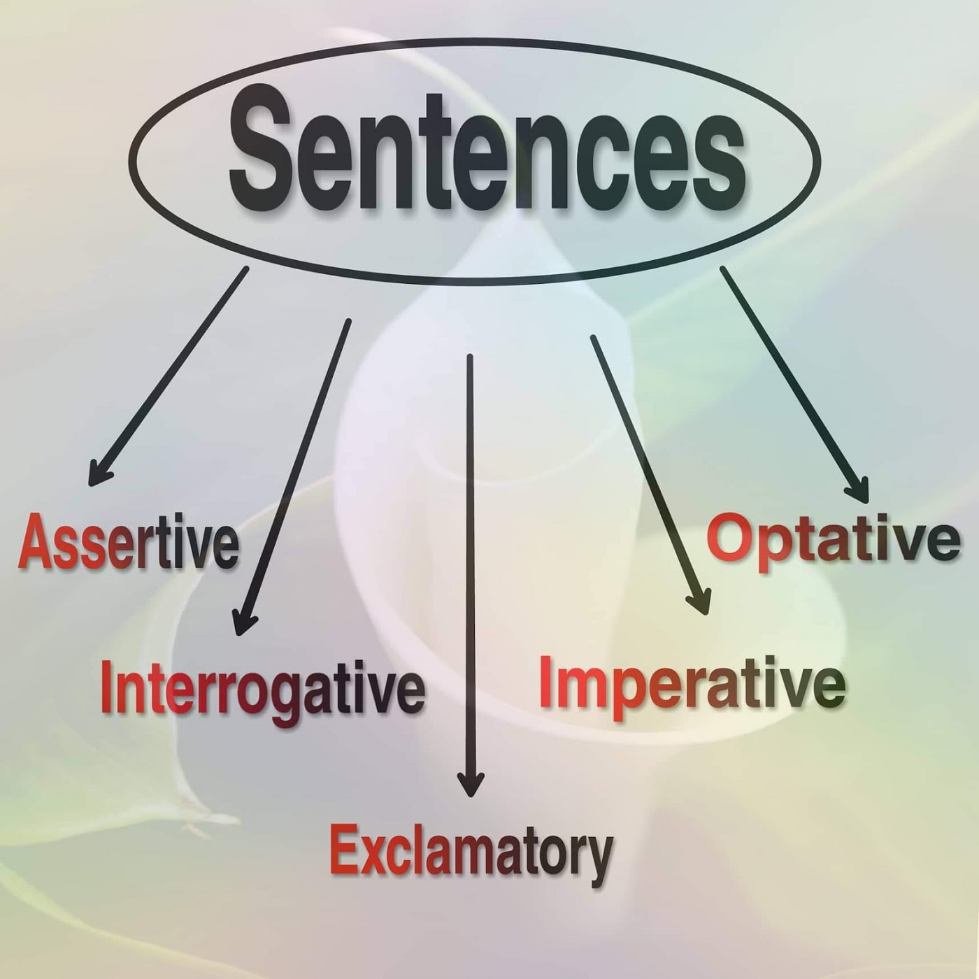 50-four-types-of-sentences-worksheet